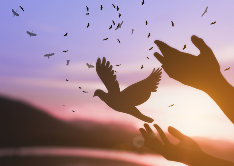 A silhouette of a bird flying in the sky Description automatically generated with low confidence