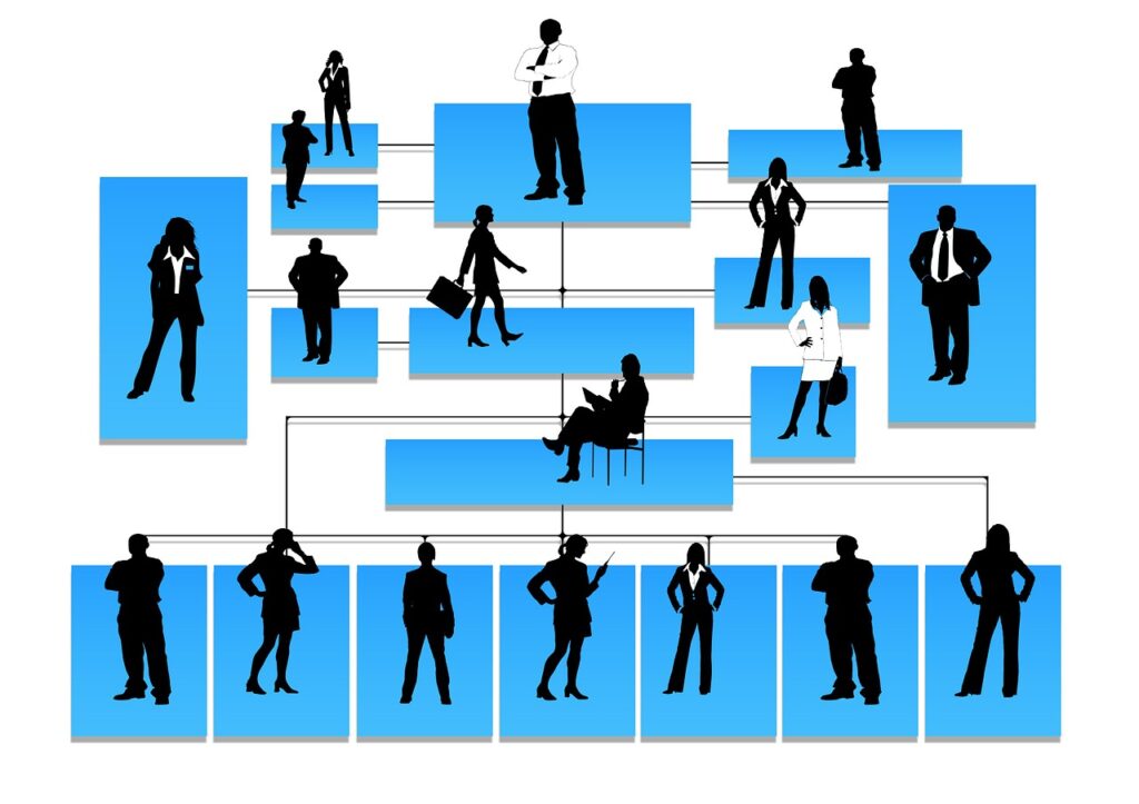 The Brain’s Urge for Hierarchy: Exploring Human Affiliation with ...