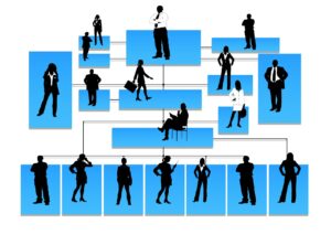 The Brain’s Urge for Hierarchy: Exploring Human Affiliation with ...