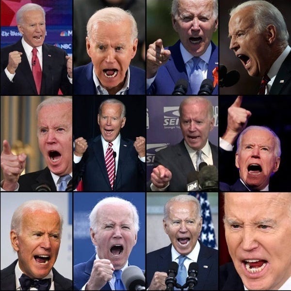 Biden's "Obvious Cognitive Decline"