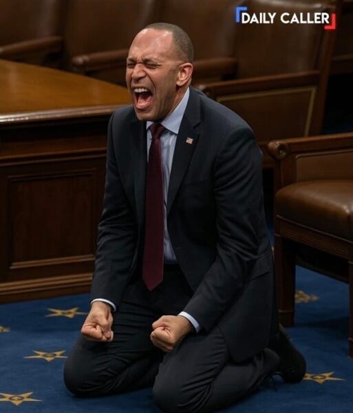 Enjoying Democrats' Pain Since 11/5/2024