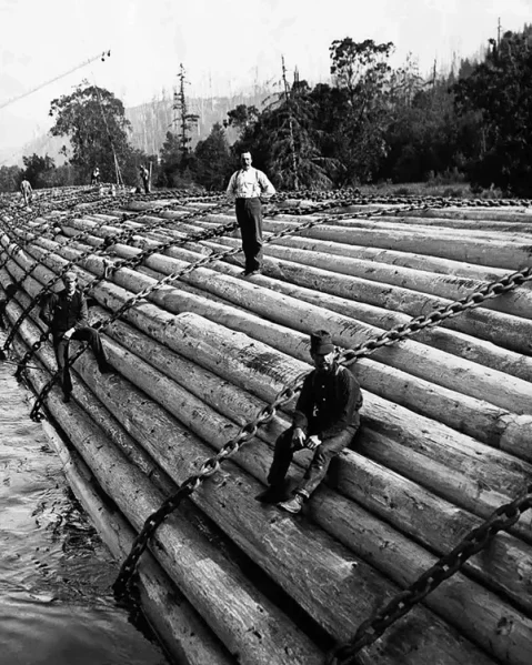 Trump Administration Restoring Timber Industry In Oregon