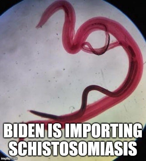 Biden Is Importing Schistosomiasis